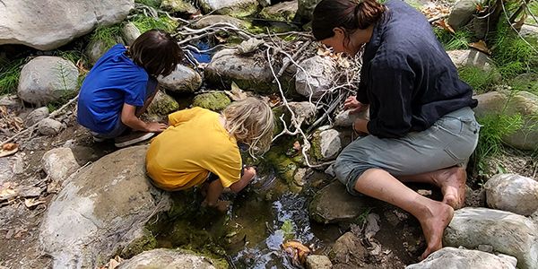 two children and an adult examining a creek pool